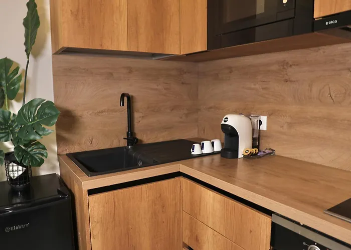 Luxe Living Apartment